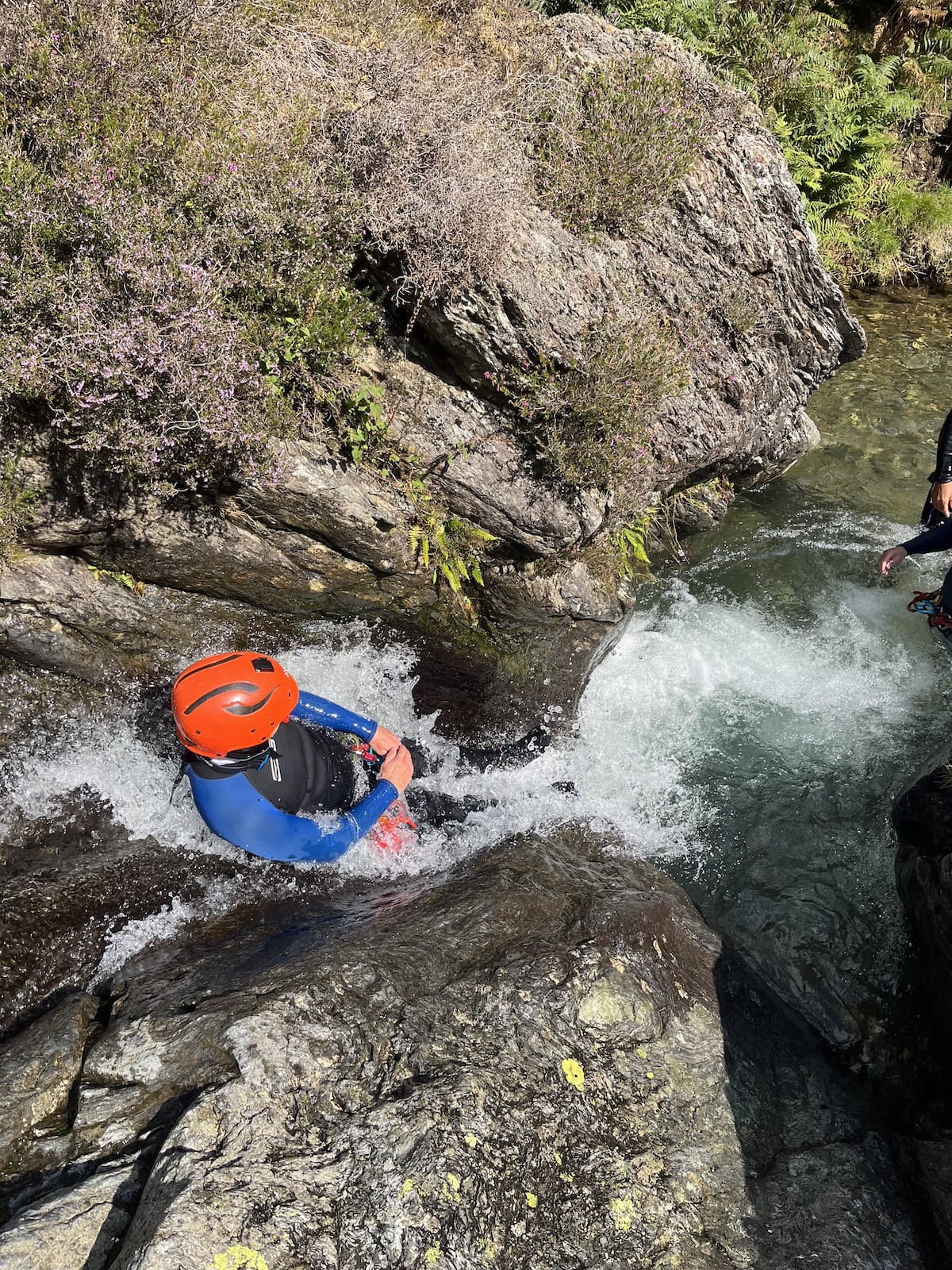 {{brizy_dc_image_alt imageSrc=